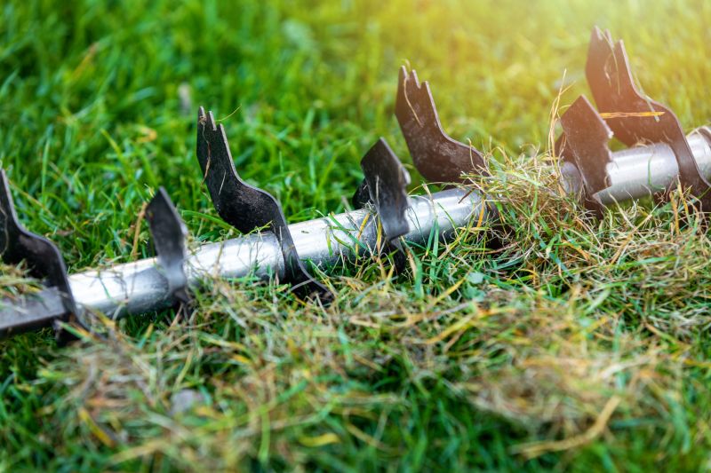 Spring Lawn Aeration